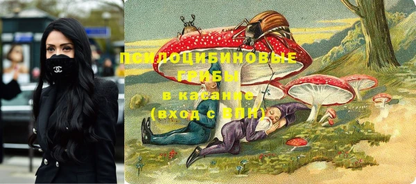 экстази Вяземский