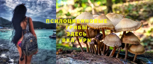 МДПВ Вязники